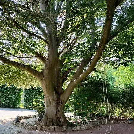 Nocleg ze śniadaniem D'hotes La Tuilerie Houdemont