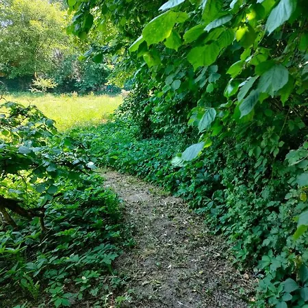 Nocleg ze śniadaniem D'hotes La Tuilerie 3*