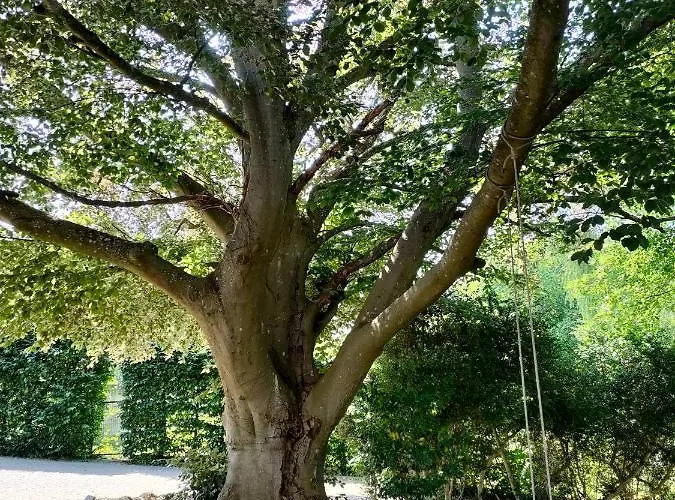 Bed & Breakfast D'hotes La Tuilerie Houdemont