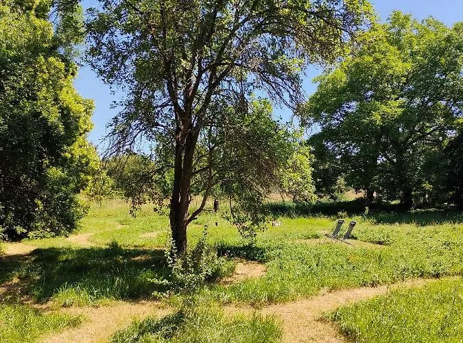 D'hotes La Tuilerie Bed & Breakfast 3*