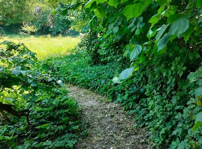 Bed & Breakfast D'hotes La Tuilerie 3*